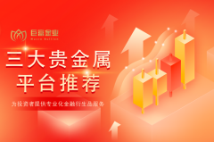 2025年贵金属平台TOP3实测：这三家凭什么让投资者月赚30%？